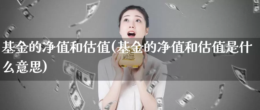 基金的净值和估值(基金的净值和估值是什么意思)_https://www.zzcnk.com_理财_第1张