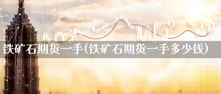 铁矿石期货一手(铁矿石期货一手多少钱)_https://www.zzcnk.com_股指期货_第1张