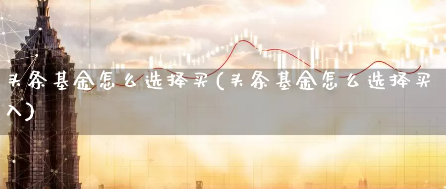 头条基金怎么选择买(头条基金怎么选择买入)_https://www.zzcnk.com_基金_第1张