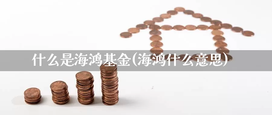 什么是海鸿基金(海鸿什么意思)_https://www.zzcnk.com_基金_第1张