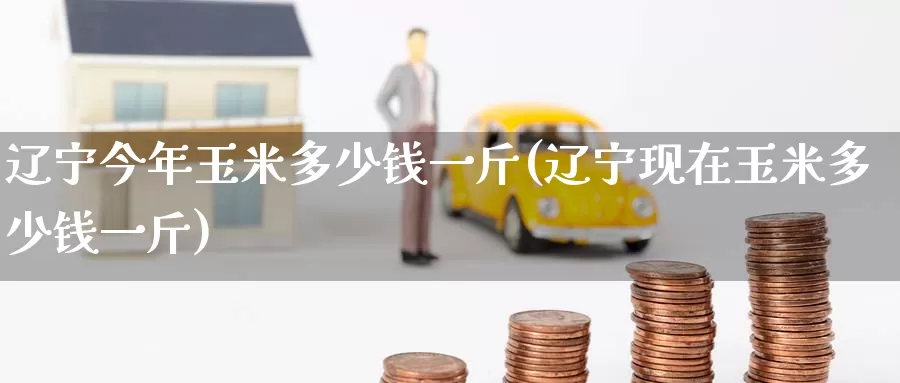辽宁今年玉米多少钱一斤(辽宁现在玉米多少钱一斤)_https://www.zzcnk.com_期货直播_第1张