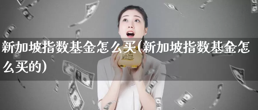 新加坡指数基金怎么买(新加坡指数基金怎么买的)_https://www.zzcnk.com_基金_第1张