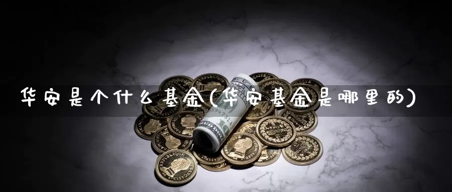 华安是个什么基金(华安基金是哪里的)_https://www.zzcnk.com_基金_第1张