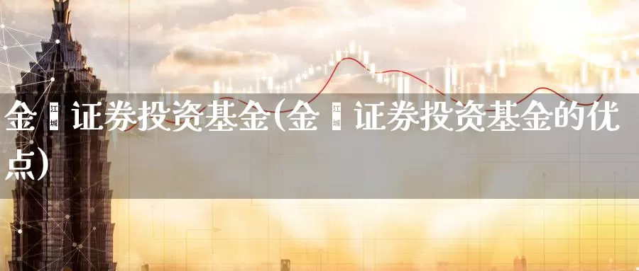 金鑫证券投资基金(金鑫证券投资基金的优点)_https://www.zzcnk.com_股票_第1张