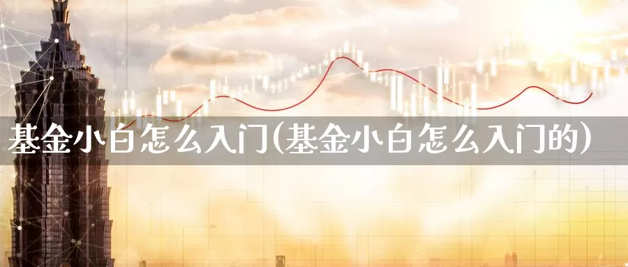 基金小白怎么入门(基金小白怎么入门的)_https://www.zzcnk.com_股票_第1张