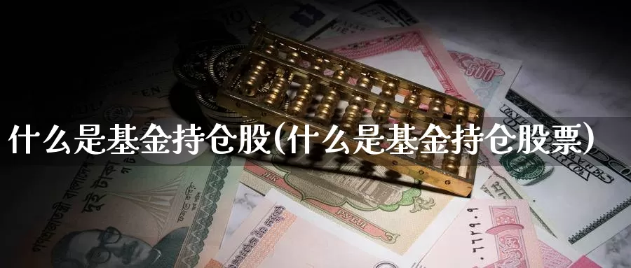 什么是基金持仓股(什么是基金持仓股票)_https://www.zzcnk.com_基金_第1张