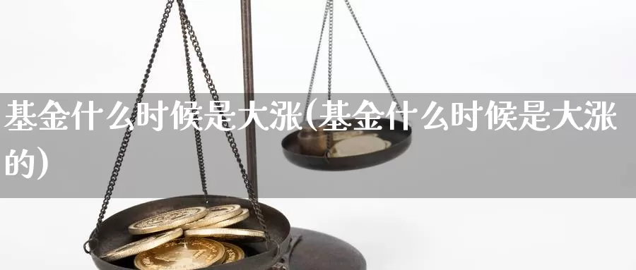 基金什么时候是大涨(基金什么时候是大涨的)_https://www.zzcnk.com_基金_第1张