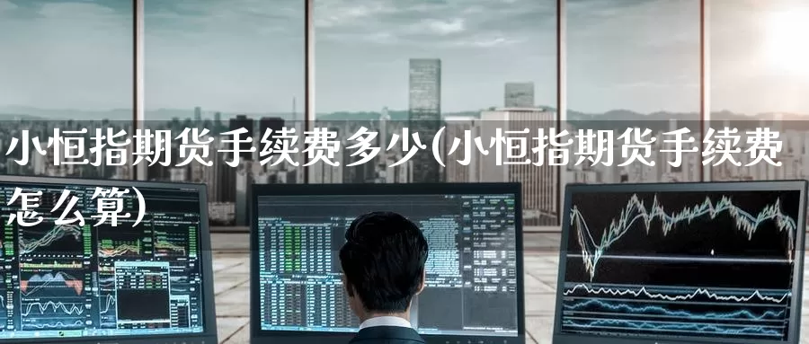 小恒指期货手续费多少(小恒指期货手续费怎么算)_https://www.zzcnk.com_原油期货_第1张