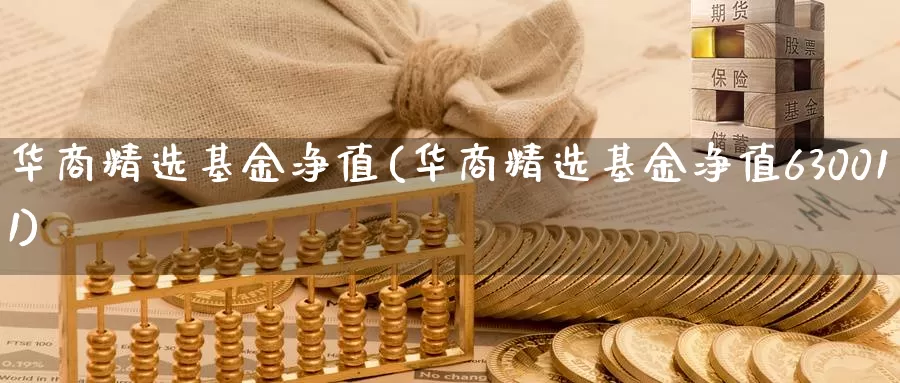 华商精选基金净值(华商精选基金净值630011)_https://www.zzcnk.com_期货_第1张