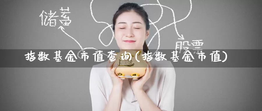 指数基金市值查询(指数基金市值)_https://www.zzcnk.com_基金_第1张