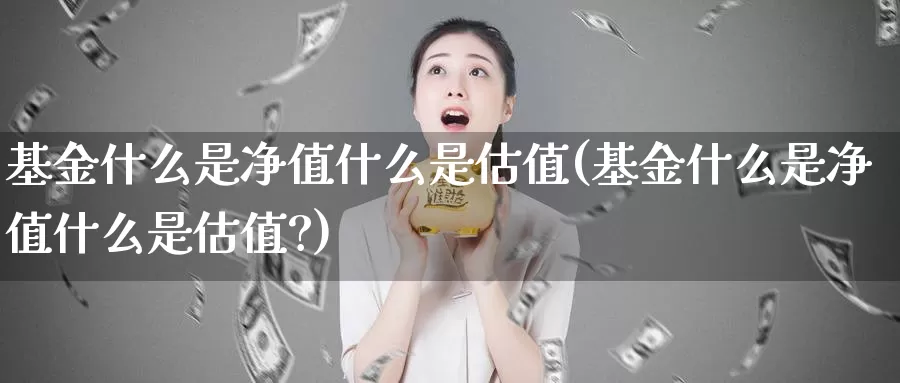 基金什么是净值什么是估值(基金什么是净值什么是估值?)_https://www.zzcnk.com_基金_第1张