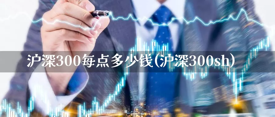 沪深300每点多少钱(沪深300sh)_https://www.zzcnk.com_恒生指数_第1张