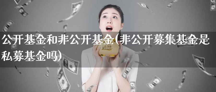 公开基金和非公开基金(非公开募集基金是私募基金吗)_https://www.zzcnk.com_股指期货_第1张