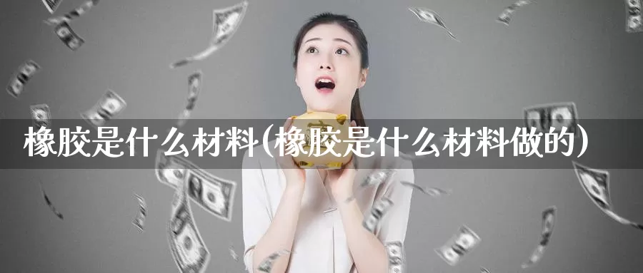 橡胶是什么材料(橡胶是什么材料做的)_https://www.zzcnk.com_期货百科_第1张