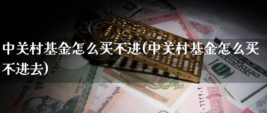中关村基金怎么买不进(中关村基金怎么买不进去)_https://www.zzcnk.com_基金_第1张