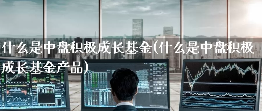 什么是中盘积极成长基金(什么是中盘积极成长基金产品)_https://www.zzcnk.com_基金_第1张