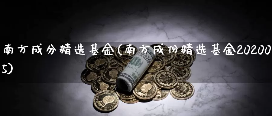 南方成分精选基金(南方成份精选基金202005)_https://www.zzcnk.com_财经_第1张