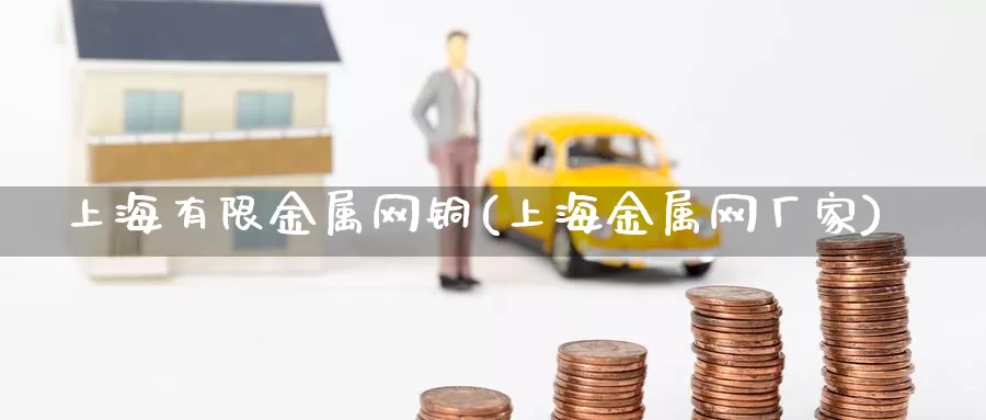 上海有限金属网铜(上海金属网厂家)_https://www.zzcnk.com_恒生指数_第1张