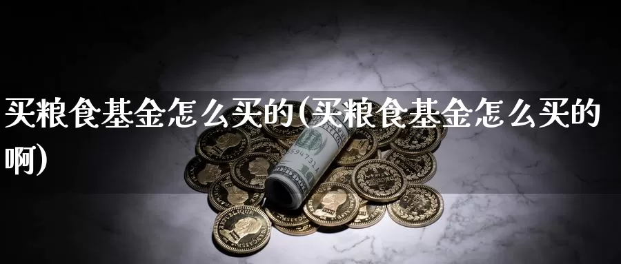 买粮食基金怎么买的(买粮食基金怎么买的啊)_https://www.zzcnk.com_基金_第1张