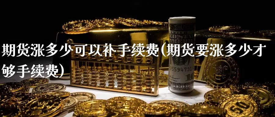 期货涨多少可以补手续费(期货要涨多少才够手续费)_https://www.zzcnk.com_纳指期货_第1张