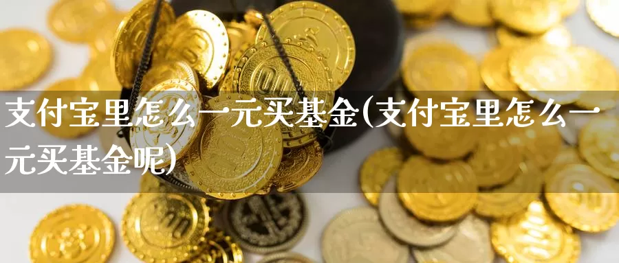 支付宝里怎么一元买基金(支付宝里怎么一元买基金呢)_https://www.zzcnk.com_基金_第1张