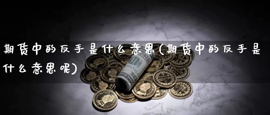 期货中的反手是什么意思(期货中的反手是什么意思呢)_https://www.zzcnk.com_期货_第1张