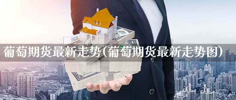 葡萄期货最新走势(葡萄期货最新走势图)_https://www.zzcnk.com_期货直播_第1张