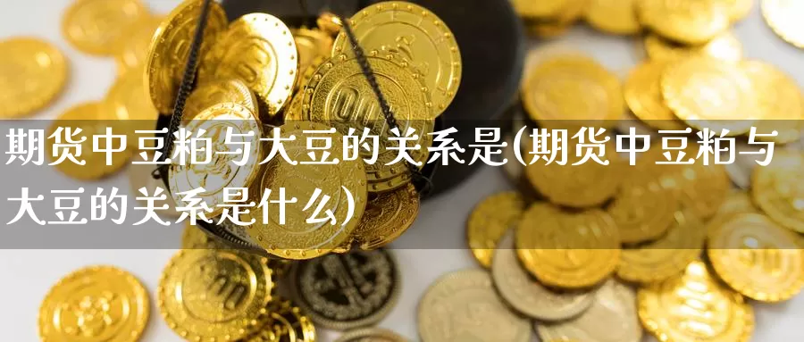 期货中豆粕与大豆的关系是(期货中豆粕与大豆的关系是什么)_https://www.zzcnk.com_纳指期货_第1张
