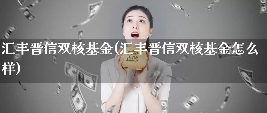 汇丰晋信双核基金(汇丰晋信双核基金怎么样)_https://www.zzcnk.com_理财_第1张