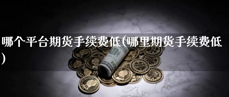 哪个平台期货手续费低(哪里期货手续费低)_https://www.zzcnk.com_内盘期货_第1张