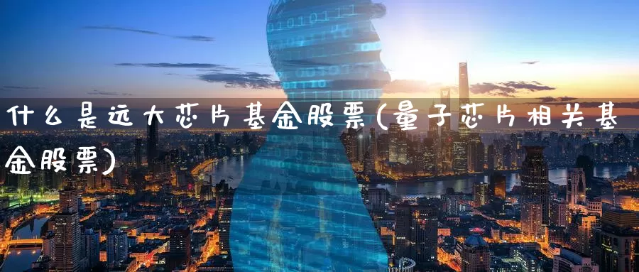 什么是远大芯片基金股票(量子芯片相关基金股票)_https://www.zzcnk.com_基金_第1张