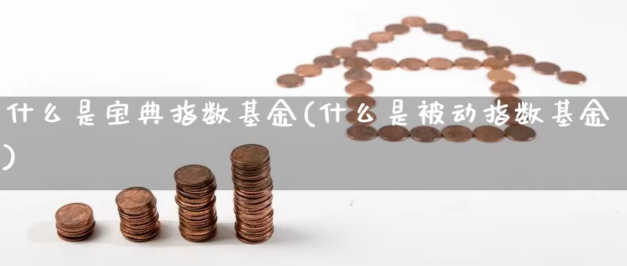 什么是宝典指数基金(什么是被动指数基金)_https://www.zzcnk.com_基金_第1张