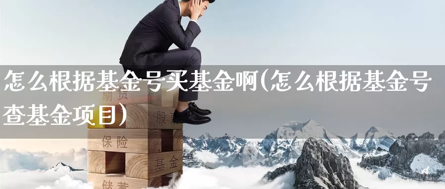怎么根据基金号买基金啊(怎么根据基金号查基金项目)_https://www.zzcnk.com_基金_第1张