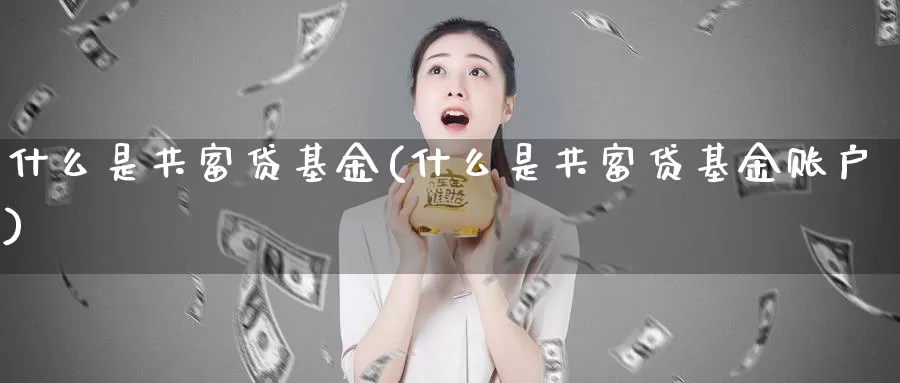 什么是共富贷基金(什么是共富贷基金账户)_https://www.zzcnk.com_基金_第1张