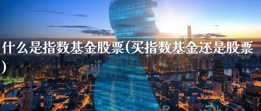 什么是指数基金股票(买指数基金还是股票)_https://www.zzcnk.com_基金_第1张