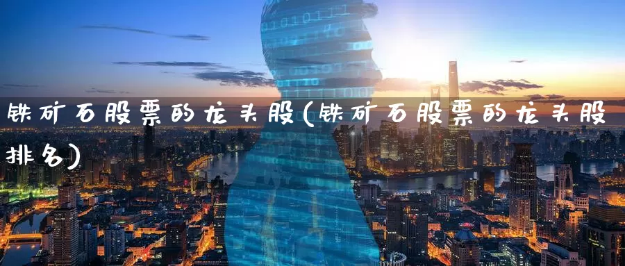 铁矿石股票的龙头股(铁矿石股票的龙头股排名)_https://www.zzcnk.com_恒生指数_第1张