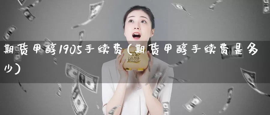 期货甲醇1905手续费(期货甲醇手续费是多少)_https://www.zzcnk.com_期货直播_第1张