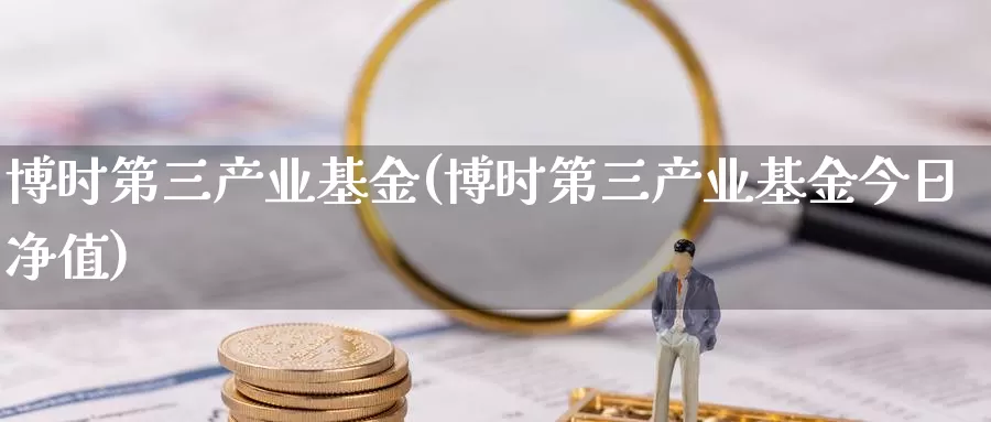 博时第三产业基金(博时第三产业基金今日净值)_https://www.zzcnk.com_基金_第1张