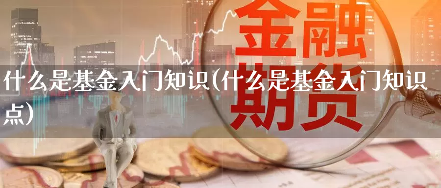 什么是基金入门知识(什么是基金入门知识点)_https://www.zzcnk.com_基金_第1张