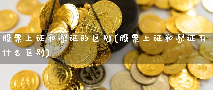股票上证和深证的区别(股票上证和深证有什么区别)_https://www.zzcnk.com_股指期货_第1张