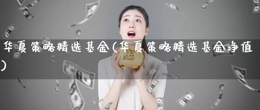 华夏策略精选基金(华夏策略精选基金净值)_https://www.zzcnk.com_理财_第1张