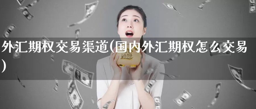 外汇期权交易渠道(国内外汇期权怎么交易)_https://www.zzcnk.com_股指期货_第1张