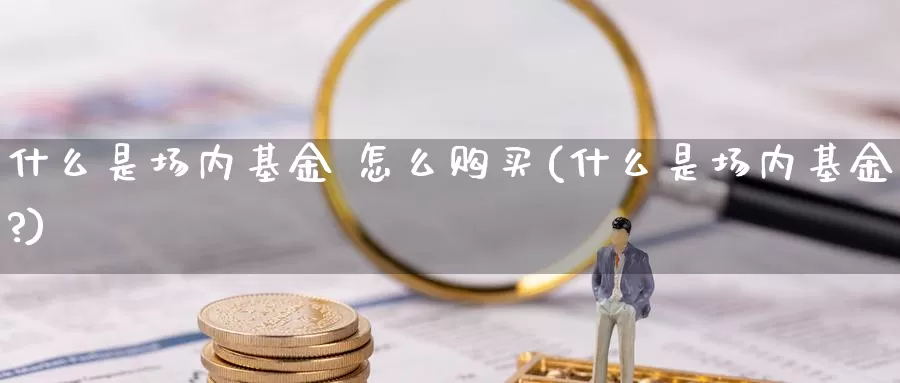 什么是场内基金 怎么购买(什么是场内基金?)_https://www.zzcnk.com_基金_第1张