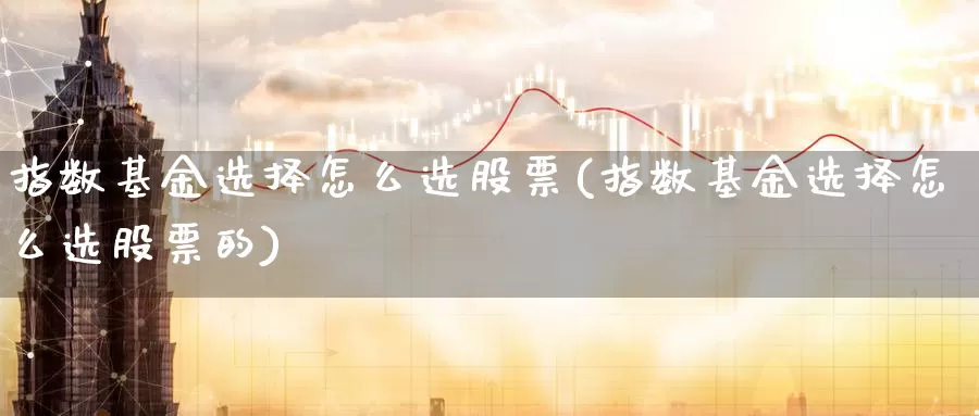 指数基金选择怎么选股票(指数基金选择怎么选股票的)_https://www.zzcnk.com_理财_第1张