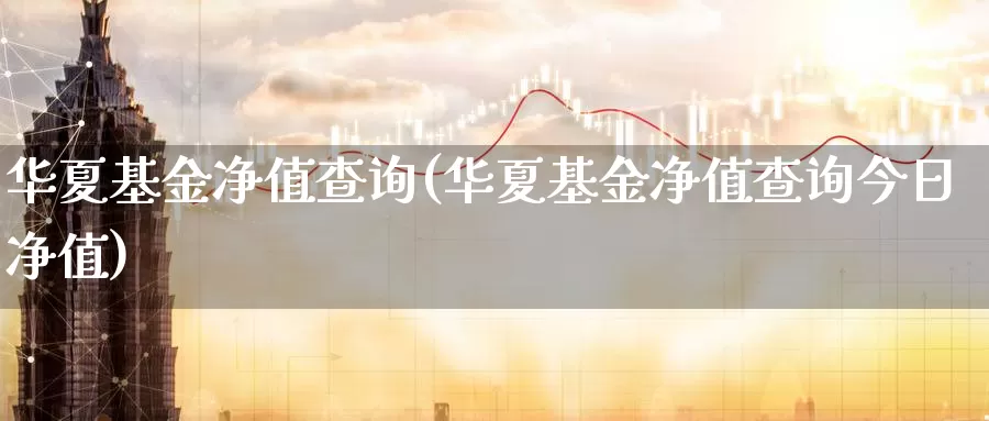 华夏基金净值查询(华夏基金净值查询今日净值)_https://www.zzcnk.com_理财_第1张