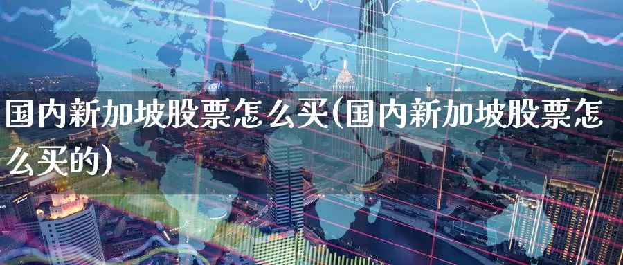 国内新加坡股票怎么买(国内新加坡股票怎么买的)_https://www.zzcnk.com_股票_第1张