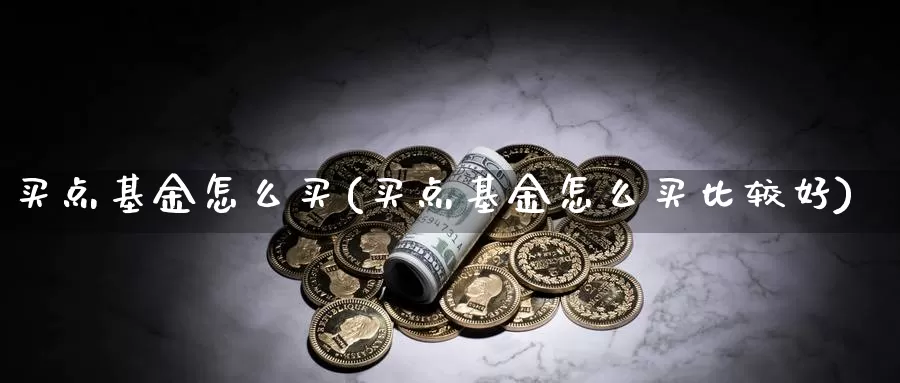 买点基金怎么买(买点基金怎么买比较好)_https://www.zzcnk.com_基金_第1张