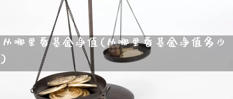 从哪里看基金净值(从哪里看基金净值多少)_https://www.zzcnk.com_基金_第1张