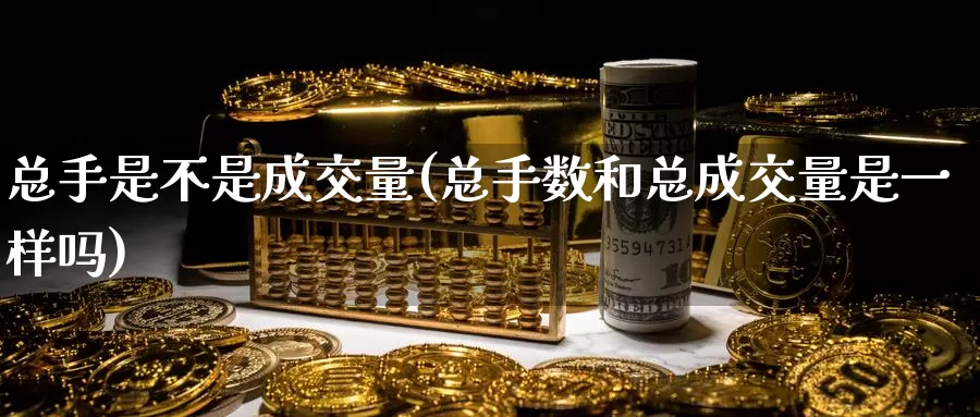 总手是不是成交量(总手数和总成交量是一样吗)_https://www.zzcnk.com_内盘期货_第1张