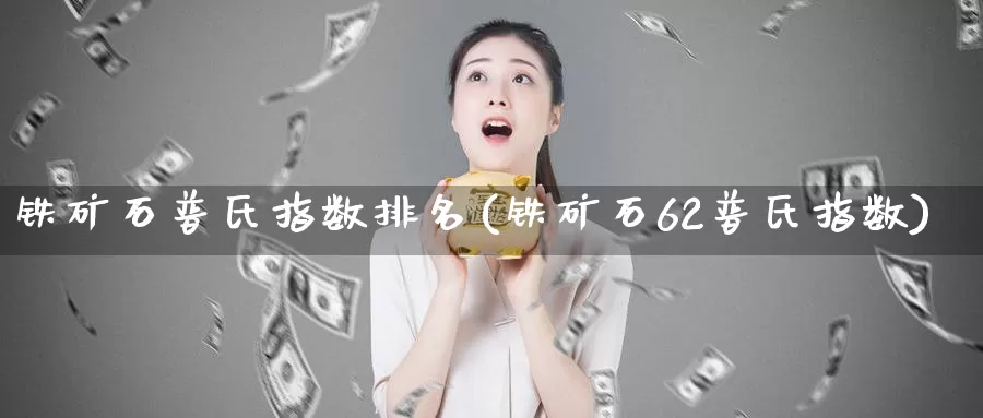 铁矿石普氏指数排名(铁矿石62普氏指数)_https://www.zzcnk.com_股指期货_第1张